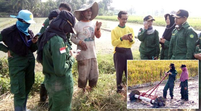 Tanam `Tabela`, Taruna STPP Yogyakarta Gelar Mahasiswa Pendamping di Klaten